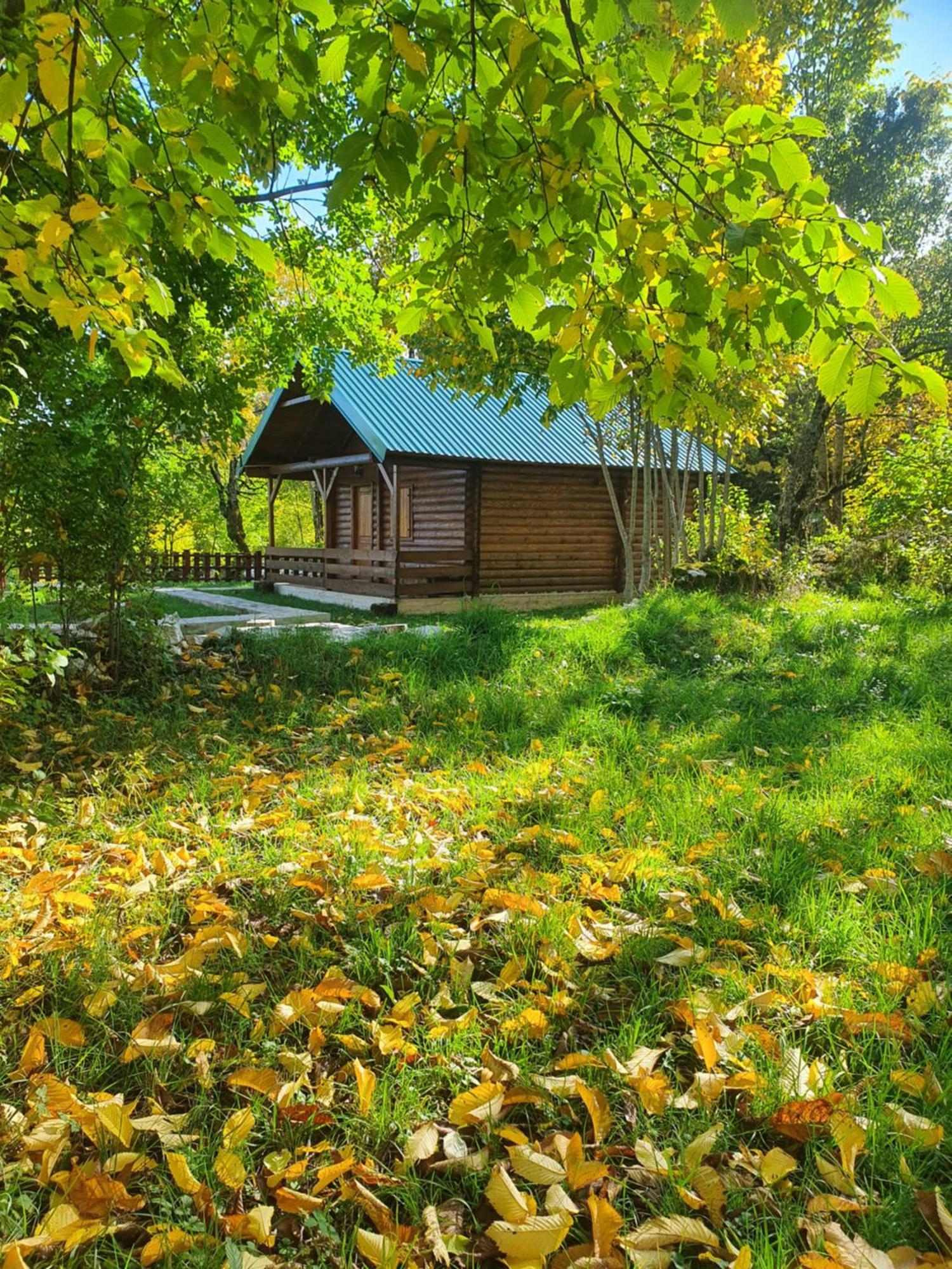 Cabin House Dubovik Cetynia Zewnętrze zdjęcie