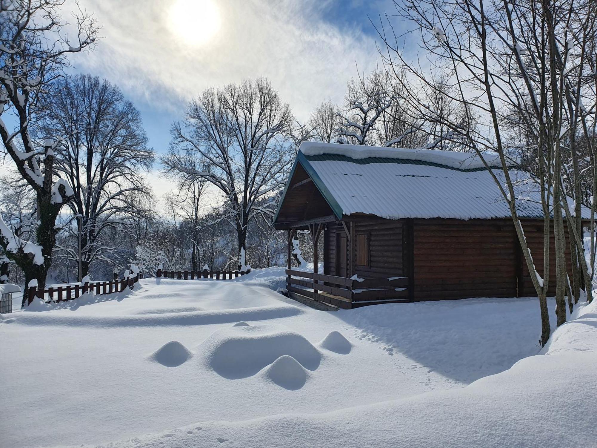 Cabin House Dubovik Cetynia Zewnętrze zdjęcie